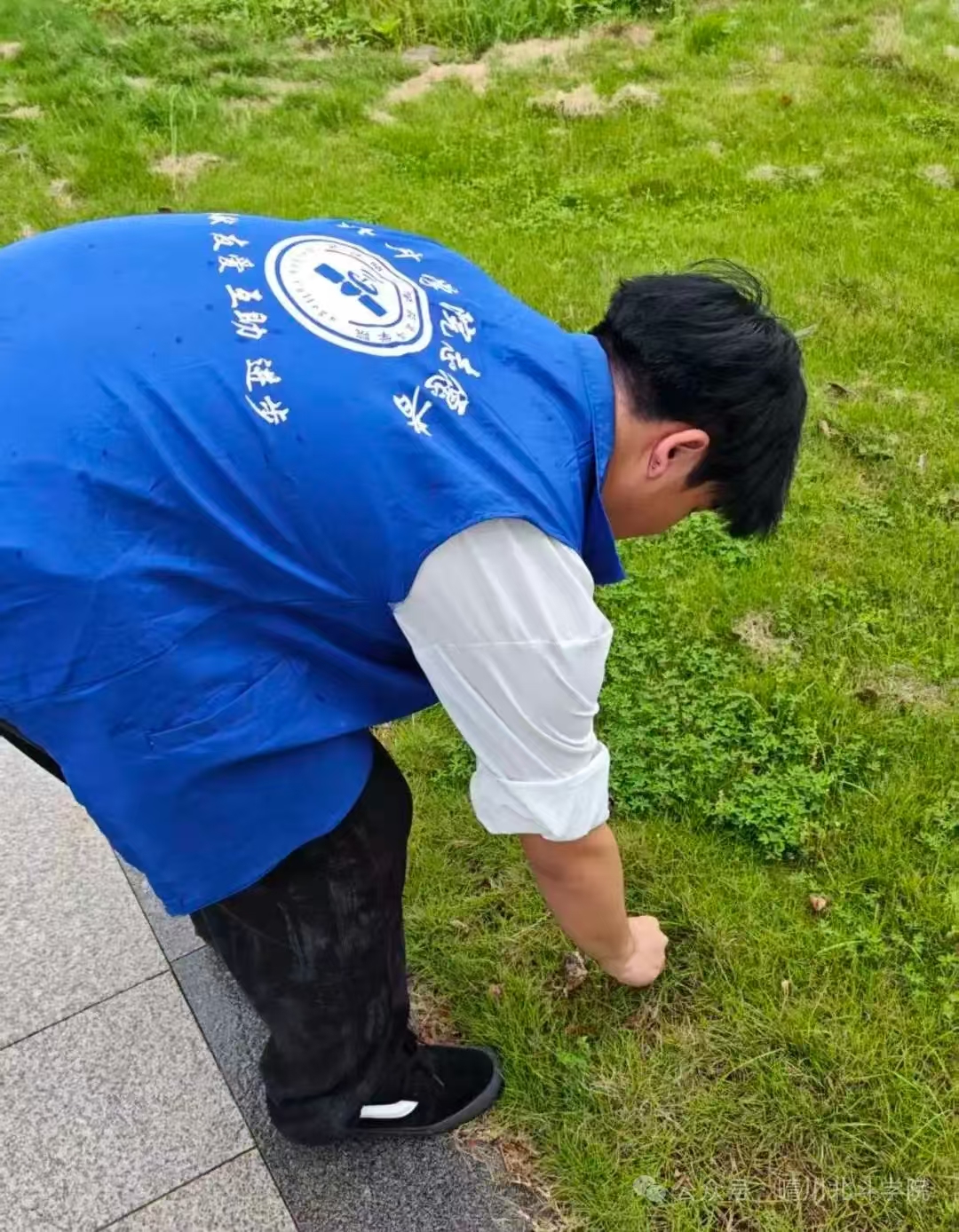 Betvictor中文版